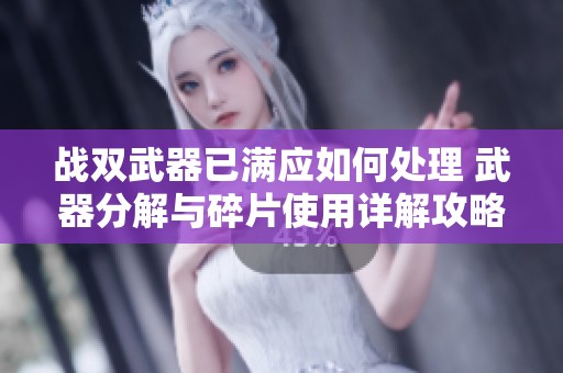 战双武器已满应如何处理 武器分解与碎片使用详解攻略