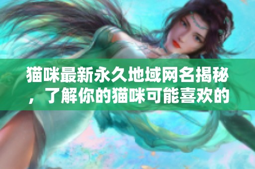 猫咪最新永久地域网名揭秘，了解你的猫咪可能喜欢的称呼