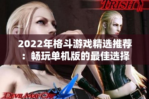 2022年格斗游戏精选推荐：畅玩单机版的最佳选择