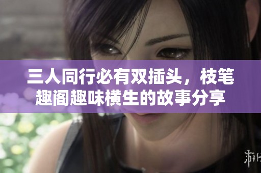 三人同行必有双插头，枝笔趣阁趣味横生的故事分享