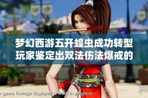 梦幻西游五开蝗虫成功转型玩家鉴定出双法伤法爆戒的传奇经历
