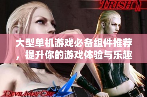 大型单机游戏必备组件推荐，提升你的游戏体验与乐趣