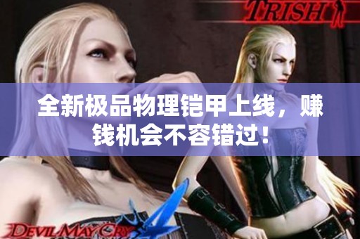 全新极品物理铠甲上线，赚钱机会不容错过！