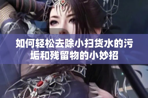 如何轻松去除小扫货水的污垢和残留物的小妙招