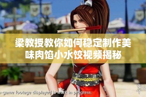 梁教授教你如何稳定制作美味肉馅小水饺视频揭秘