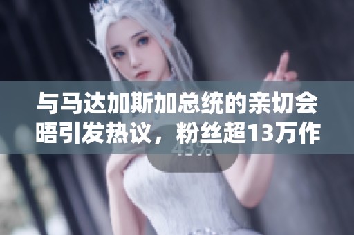 与马达加斯加总统的亲切会晤引发热议，粉丝超13万作品逾700件
