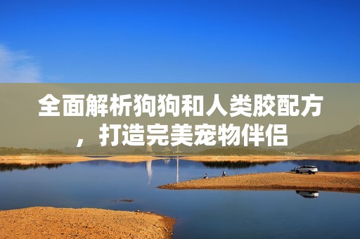 全面解析狗狗和人类胶配方，打造完美宠物伴侣