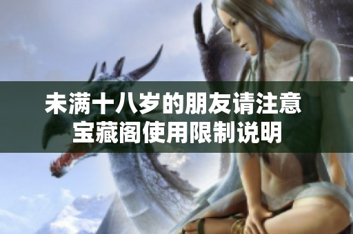 未满十八岁的朋友请注意 宝藏阁使用限制说明