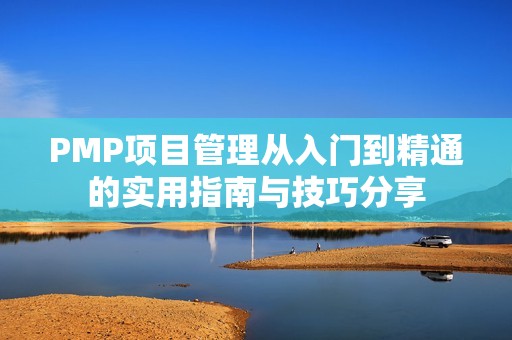 PMP项目管理从入门到精通的实用指南与技巧分享