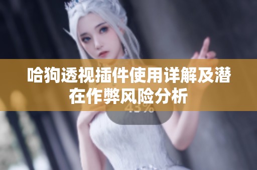 哈狗透视插件使用详解及潜在作弊风险分析