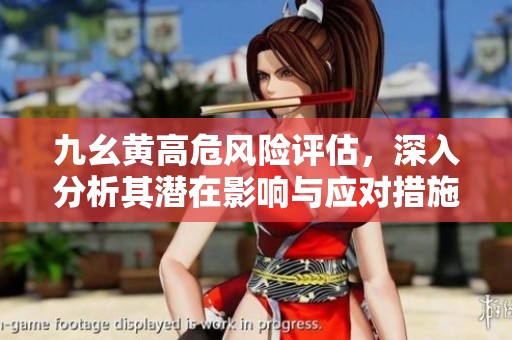 九幺黄高危风险评估，深入分析其潜在影响与应对措施