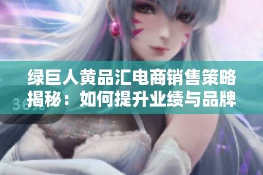 绿巨人黄品汇电商销售策略揭秘：如何提升业绩与品牌影响力
