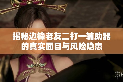 揭秘边锋老友二打一辅助器的真实面目与风险隐患
