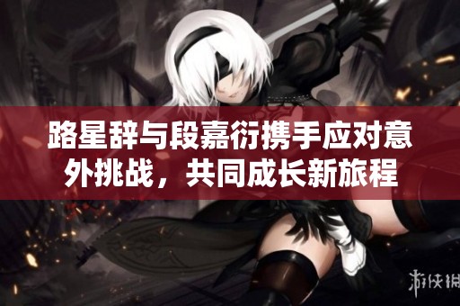 路星辞与段嘉衍携手应对意外挑战，共同成长新旅程