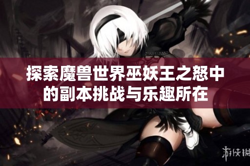 探索魔兽世界巫妖王之怒中的副本挑战与乐趣所在
