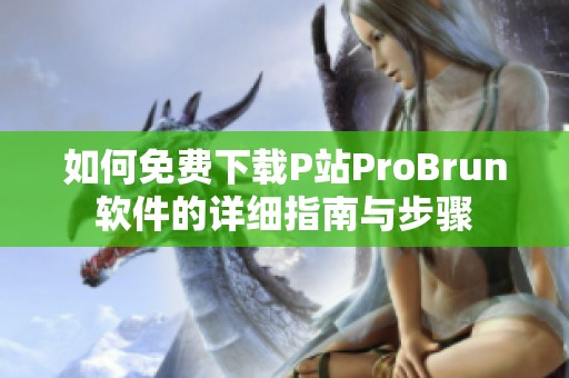 如何免费下载P站ProBrun软件的详细指南与步骤