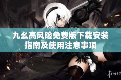 九幺高风险免费版下载安装指南及使用注意事项