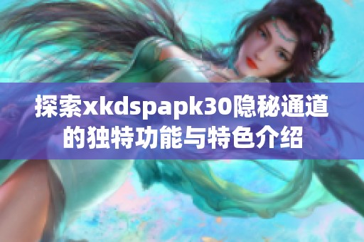 探索xkdspapk30隐秘通道的独特功能与特色介绍