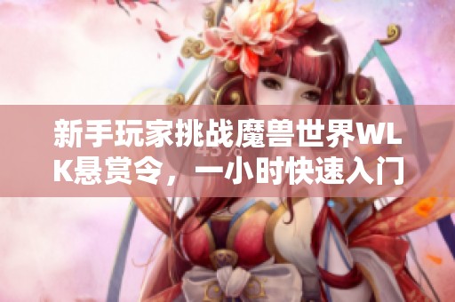 新手玩家挑战魔兽世界WLK悬赏令，一小时快速入门攻略