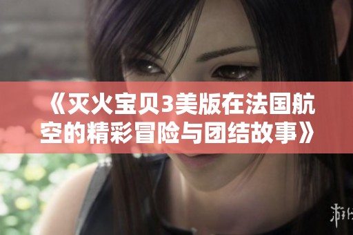 《灭火宝贝3美版在法国航空的精彩冒险与团结故事》