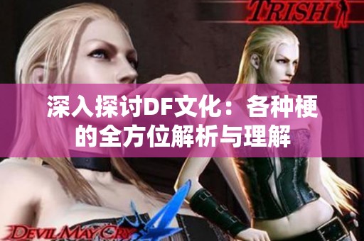 深入探讨DF文化：各种梗的全方位解析与理解