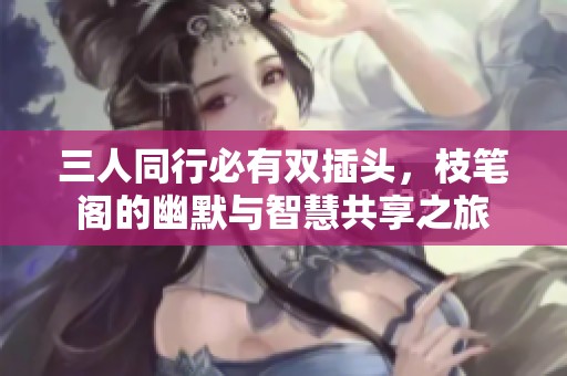 三人同行必有双插头，枝笔阁的幽默与智慧共享之旅