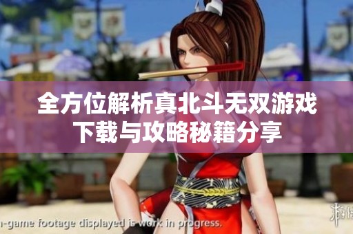 全方位解析真北斗无双游戏下载与攻略秘籍分享