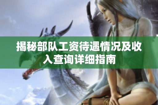 揭秘部队工资待遇情况及收入查询详细指南