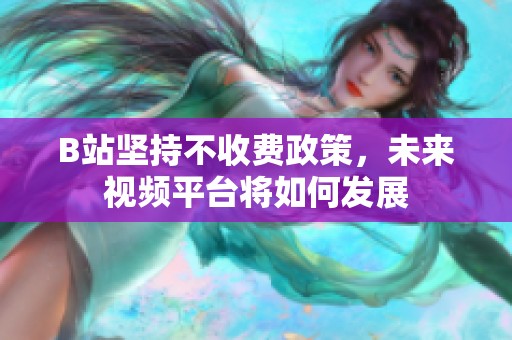 B站坚持不收费政策，未来视频平台将如何发展
