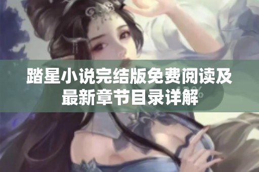 踏星小说完结版免费阅读及最新章节目录详解