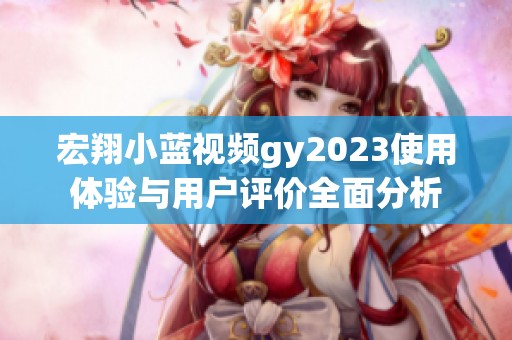 宏翔小蓝视频gy2023使用体验与用户评价全面分析