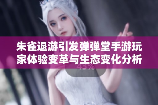 朱雀退游引发弹弹堂手游玩家体验变革与生态变化分析