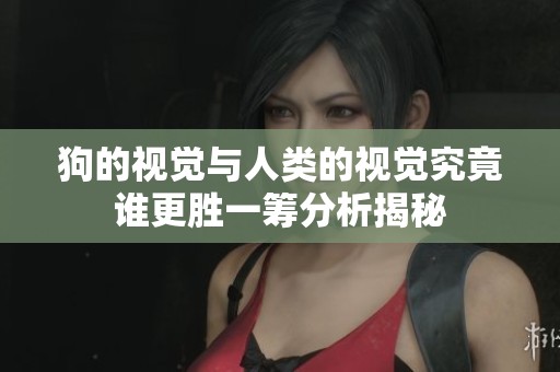 狗的视觉与人类的视觉究竟谁更胜一筹分析揭秘
