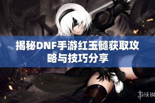 揭秘DNF手游红玉髓获取攻略与技巧分享
