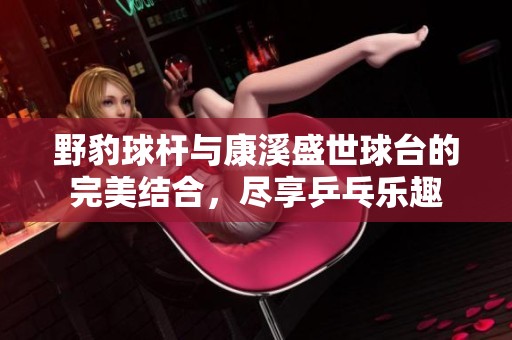 野豹球杆与康溪盛世球台的完美结合，尽享乒乓乐趣