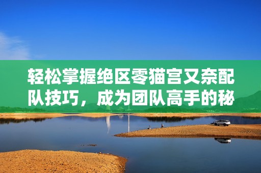 轻松掌握绝区零猫宫又奈配队技巧，成为团队高手的秘密之道