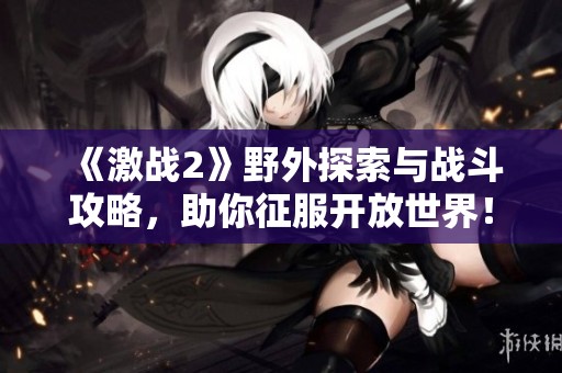 《激战2》野外探索与战斗攻略，助你征服开放世界！