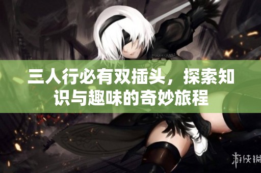 三人行必有双插头，探索知识与趣味的奇妙旅程