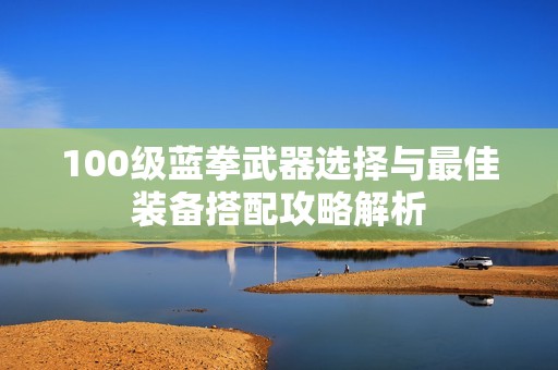 100级蓝拳武器选择与最佳装备搭配攻略解析