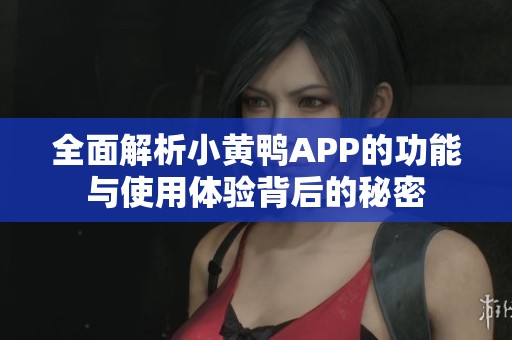 全面解析小黄鸭APP的功能与使用体验背后的秘密