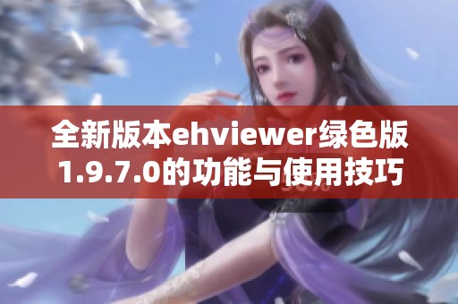 全新版本ehviewer绿色版1.9.7.0的功能与使用技巧解析