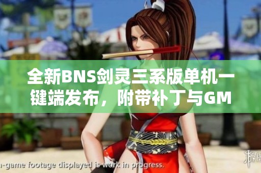 全新BNS剑灵三系版单机一键端发布，附带补丁与GM工具指南