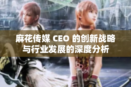 麻花传媒 CEO 的创新战略与行业发展的深度分析