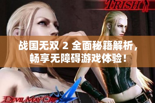 战国无双 2 全面秘籍解析，畅享无障碍游戏体验！