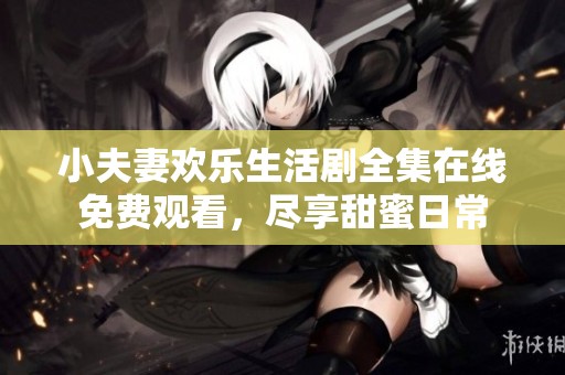 小夫妻欢乐生活剧全集在线免费观看，尽享甜蜜日常