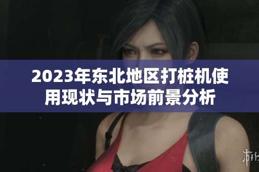 2023年东北地区打桩机使用现状与市场前景分析