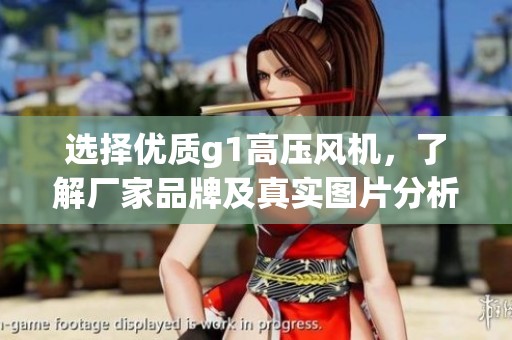 选择优质g1高压风机，了解厂家品牌及真实图片分析
