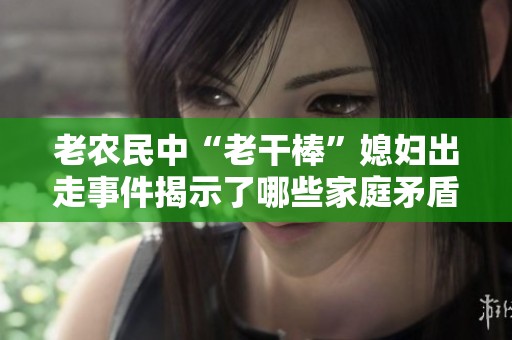 老农民中“老干棒”媳妇出走事件揭示了哪些家庭矛盾