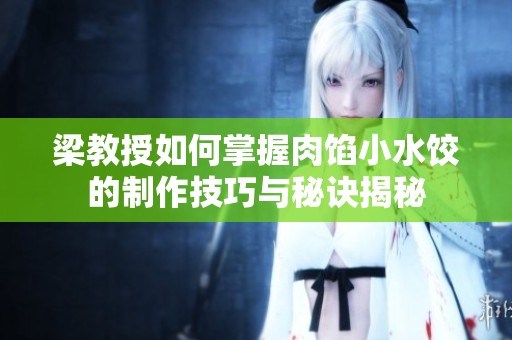 梁教授如何掌握肉馅小水饺的制作技巧与秘诀揭秘