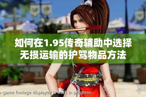 如何在1.95传奇辅助中选择无损运输的护驾物品方法